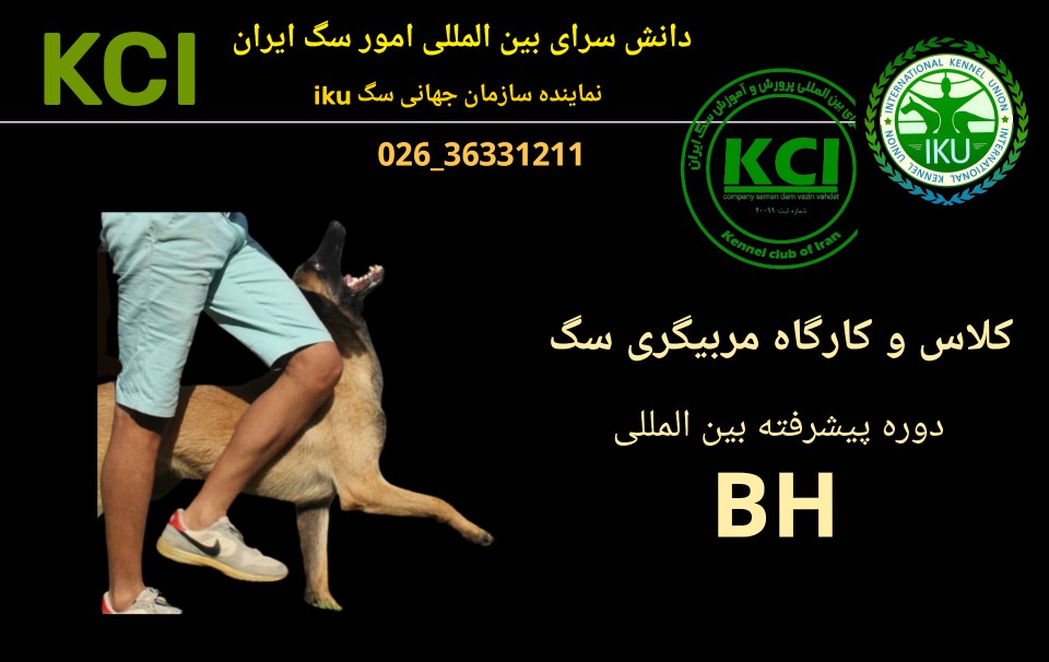 آموزش مربیگری سگ bh سازمان جهانی سگ iku